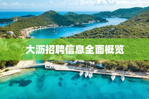 大沥招聘信息全面概览