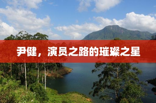 尹健，演员之路的璀璨之星