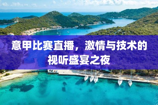 意甲比赛直播，激情与技术的视听盛宴之夜