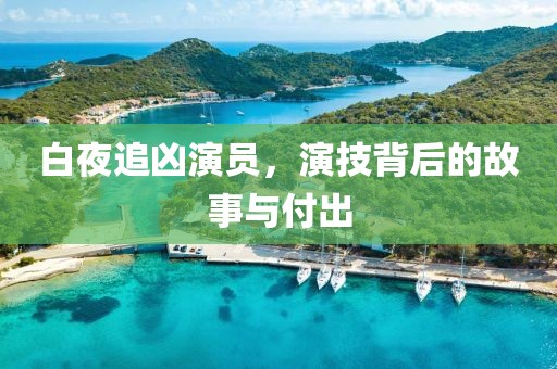 白夜追凶演员，演技背后的故事与付出