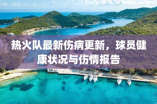 热火队最新伤病更新，球员健康状况与伤情报告