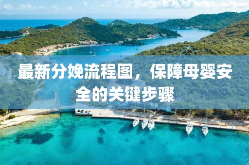 最新分娩流程图，保障母婴安全的关键步骤