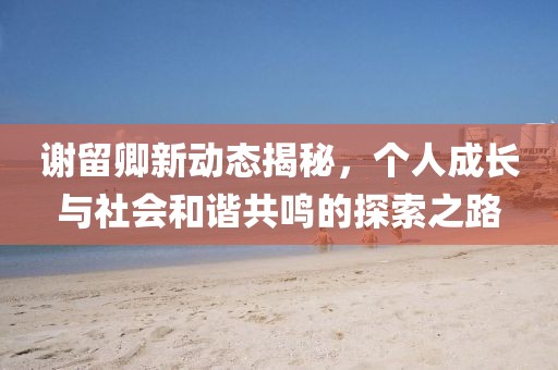 谢留卿新动态揭秘，个人成长与社会和谐共鸣的探索之路