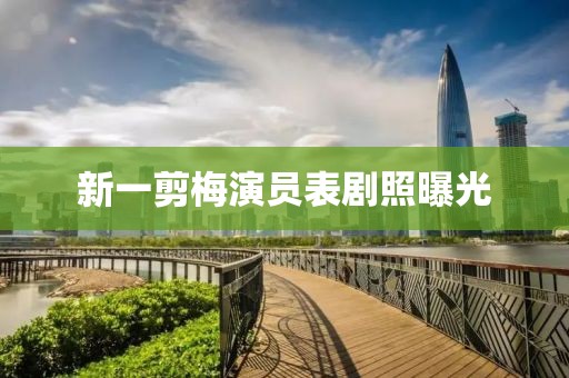 新一剪梅演员表剧照曝光