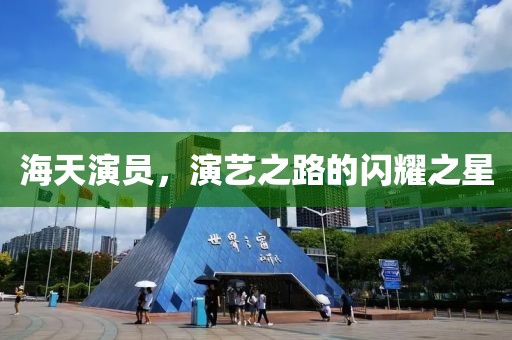 海天演员，演艺之路的闪耀之星