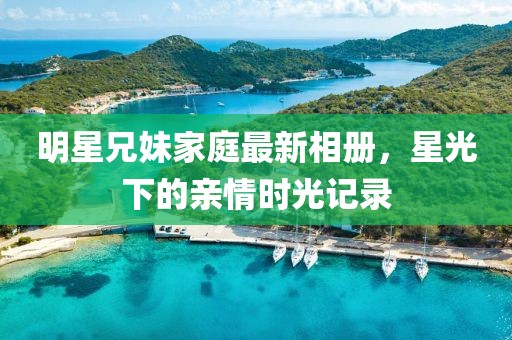 明星兄妹家庭最新相册，星光下的亲情时光记录