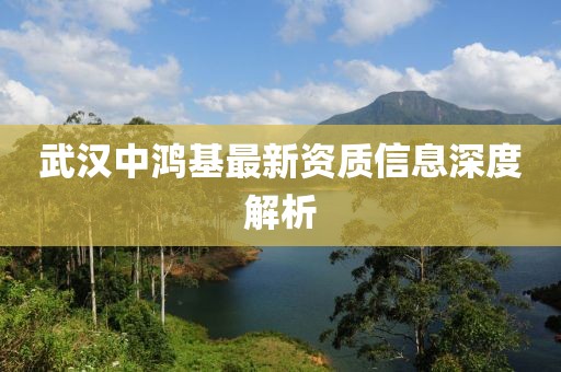 武汉中鸿基最新资质信息深度解析