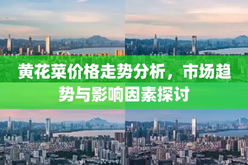 黄花菜价格走势分析，市场趋势与影响因素探讨