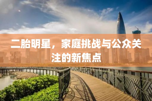 二胎明星，家庭挑战与公众关注的新焦点