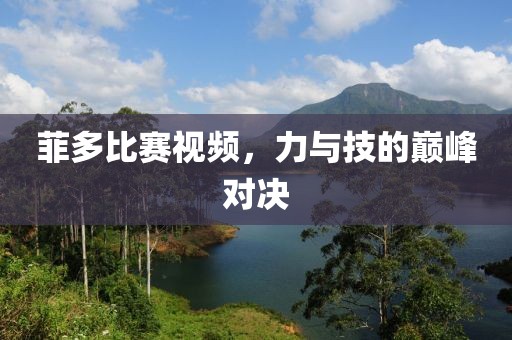 菲多比赛视频，力与技的巅峰对决