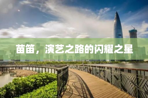 苗笛，演艺之路的闪耀之星