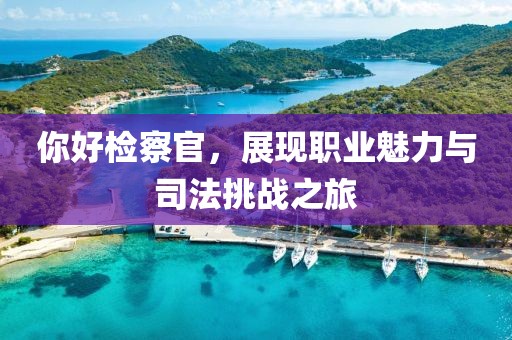 你好检察官，展现职业魅力与司法挑战之旅