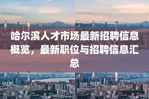 哈尔滨人才市场最新招聘信息概览，最新职位与招聘信息汇总
