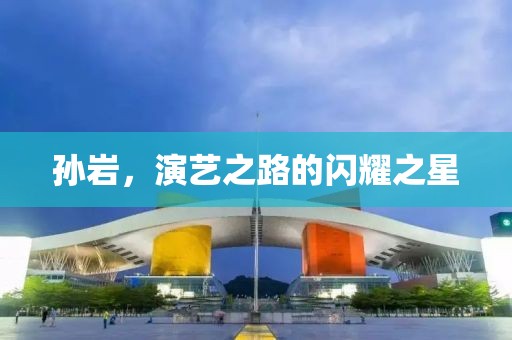 孙岩，演艺之路的闪耀之星