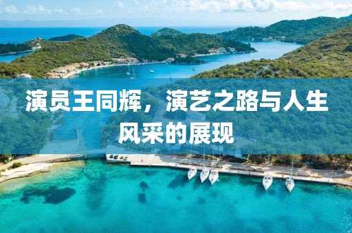 演员王同辉，演艺之路与人生风采的展现