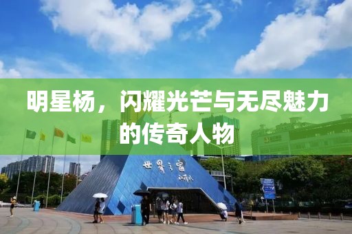 明星杨，闪耀光芒与无尽魅力的传奇人物