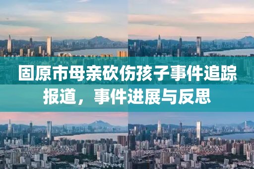 固原市母亲砍伤孩子事件追踪报道，事件进展与反思