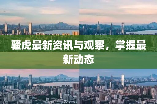 骚虎最新资讯与观察，掌握最新动态