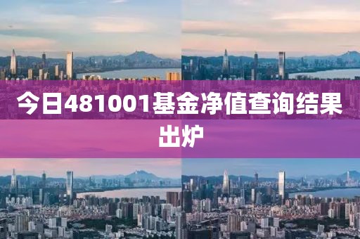 今日481001基金净值查询结果出炉