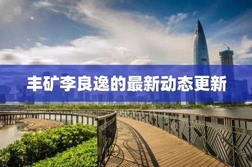 丰矿李良逸的最新动态更新