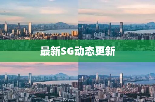 最新SG动态更新