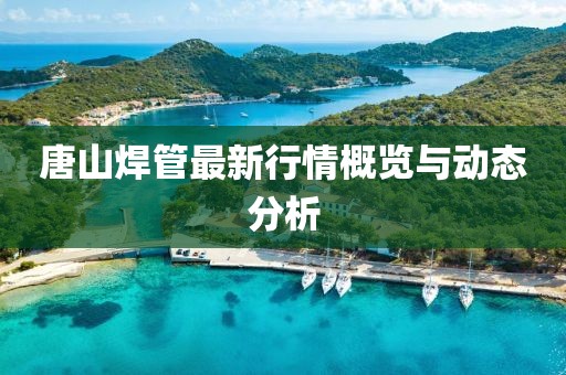 唐山焊管最新行情概览与动态分析