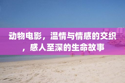 动物电影，温情与情感的交织，感人至深的生命故事