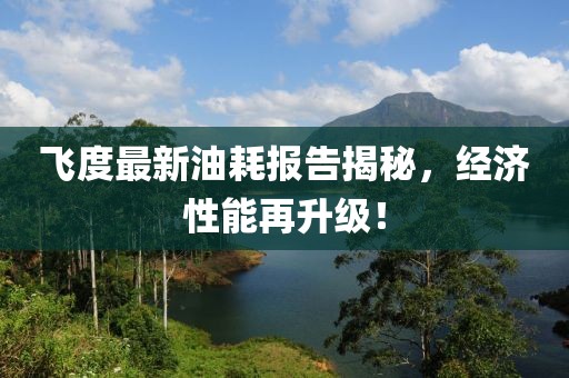 飞度最新油耗报告揭秘，经济性能再升级！