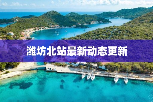 潍坊北站最新动态更新