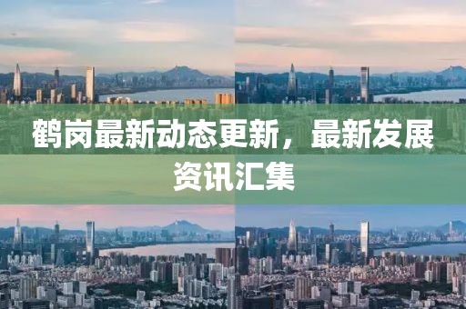 鹤岗最新动态更新，最新发展资讯汇集