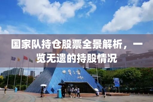 国家队持仓股票全景解析，一览无遗的持股情况