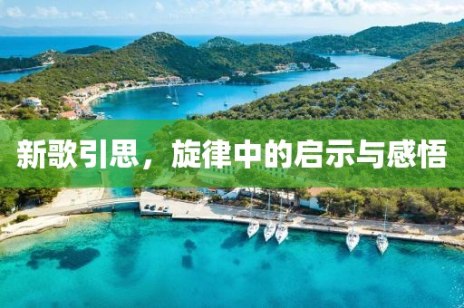 新歌引思，旋律中的启示与感悟