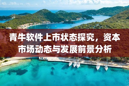 青牛软件上市状态探究，资本市场动态与发展前景分析