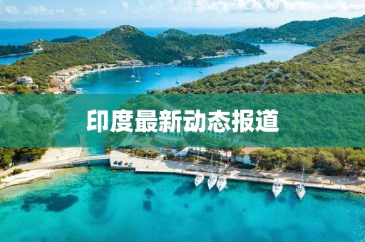 印度最新动态报道