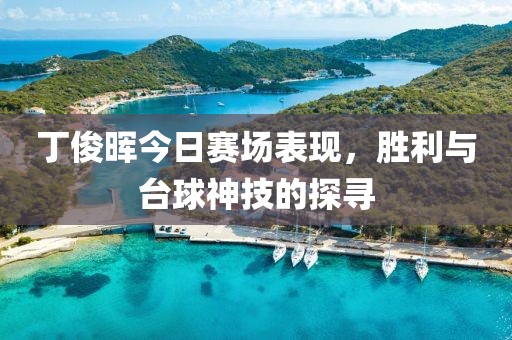 丁俊晖今日赛场表现，胜利与台球神技的探寻