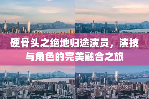 硬骨头之绝地归途演员，演技与角色的完美融合之旅