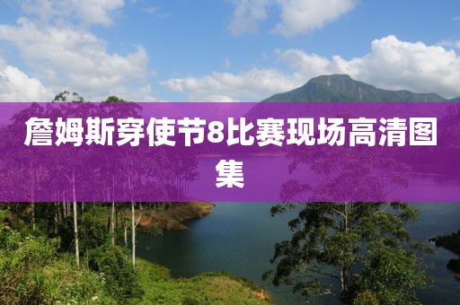 詹姆斯穿使节8比赛现场高清图集
