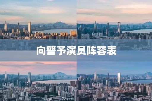 向警予演员阵容表