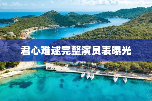 君心难逑完整演员表曝光