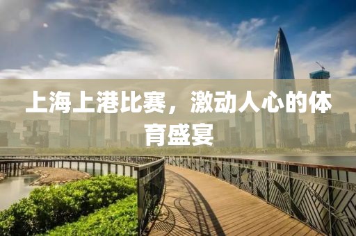 上海上港比赛，激动人心的体育盛宴