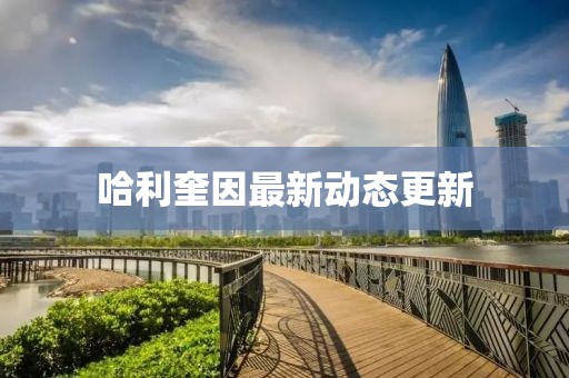 哈利奎因最新动态更新