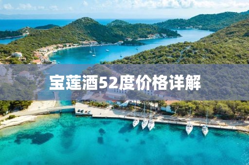 宝莲酒52度价格详解
