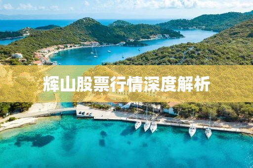 辉山股票行情深度解析
