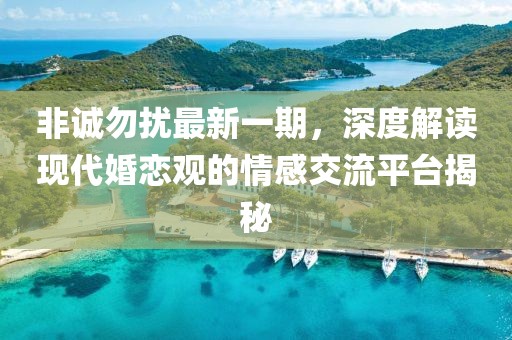 非诚勿扰最新一期，深度解读现代婚恋观的情感交流平台揭秘
