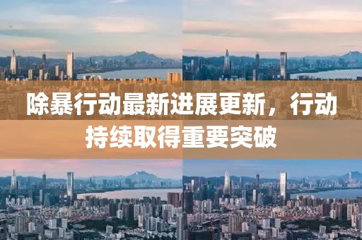 除暴行动最新进展更新，行动持续取得重要突破