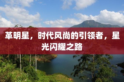 革明星，时代风尚的引领者，星光闪耀之路