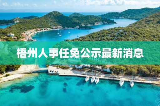 梧州人事任免公示最新消息