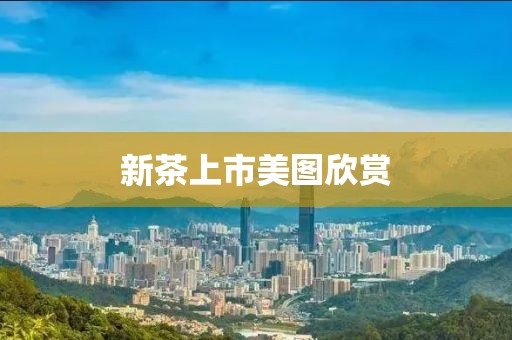新茶上市美图欣赏