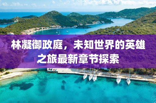 林凝御政庭，未知世界的英雄之旅最新章节探索