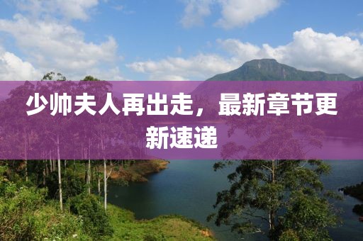 少帅夫人再出走，最新章节更新速递